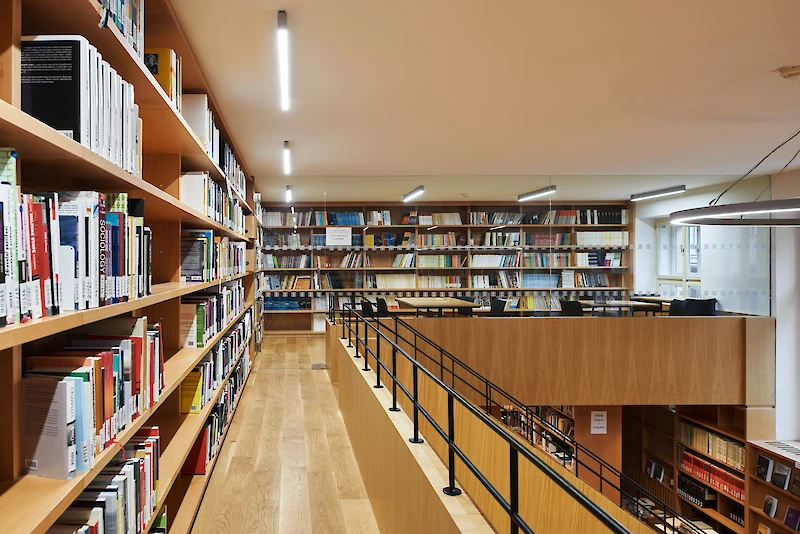 Ilustrační obrázek - knihovna