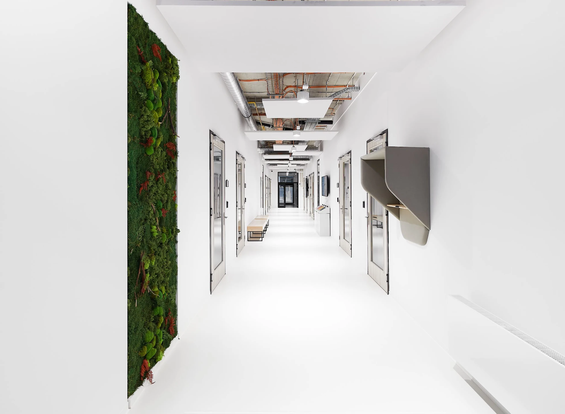 Chodba s mechovým obrazem